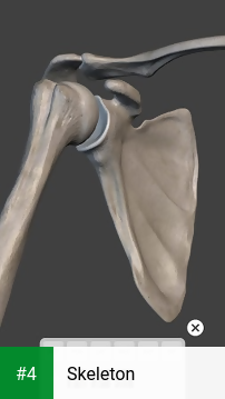 Skeleton apk screenshot 4