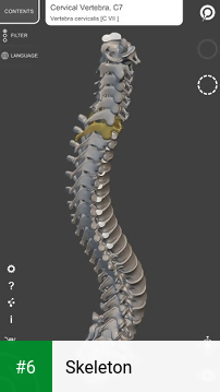 Skeleton apk screenshot 6