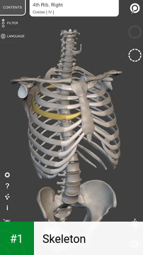 Skeleton app screenshot 1