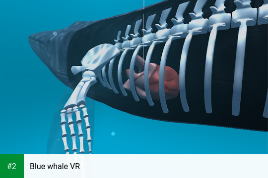 Blue whale VR apk screenshot 2