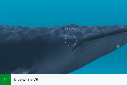 Blue whale VR apk screenshot 4