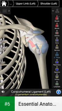 Essential Anatomy 3 for Orgs. apk screenshot 6