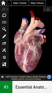 Essential Anatomy 3 for Orgs. app screenshot 3
