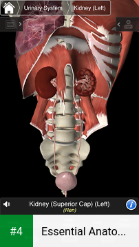 Essential Anatomy 3 for Orgs. apk screenshot 4