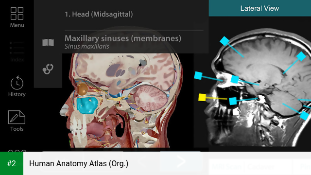 Human Anatomy Atlas (Org.) apk screenshot 2