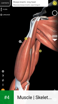Muscle | Skeleton - 3D Anatomy apk screenshot 4