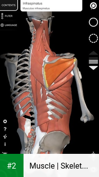 Muscle | Skeleton - 3D Anatomy apk screenshot 2