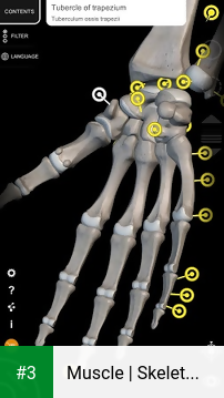 Muscle | Skeleton - 3D Anatomy app screenshot 3