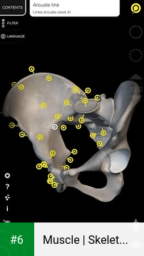 Muscle | Skeleton - 3D Anatomy apk screenshot 6