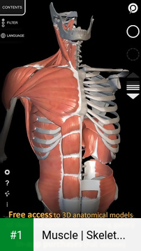 Muscle | Skeleton - 3D Anatomy app screenshot 1