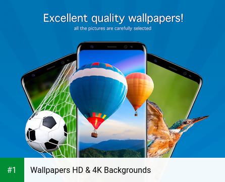 Wallpapers HD & 4K Backgrounds app screenshot 1