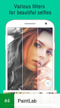 PaintLab apk screenshot 4