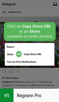 Regrann Pro app screenshot 5