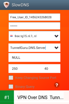 VPN Over DNS  Tunnel : SlowDNS app screenshot 1