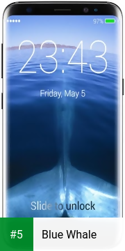 Blue Whale app screenshot 5