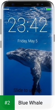 Blue Whale apk screenshot 2