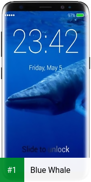 Blue Whale app screenshot 1
