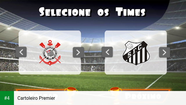 Cartoleiro Premier apk screenshot 4