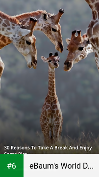 eBaum's World Daily Digest apk screenshot 6