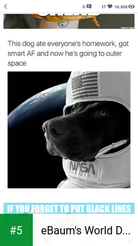 eBaum's World Daily Digest app screenshot 5