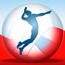 Volleyball Championship 2014 app icon