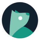 Evie Launcher app icon