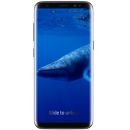 Blue Whale app icon