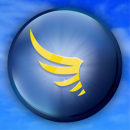 SkyDemon app icon