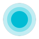 Fleksy app icon
