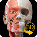 Muscle | Skeleton - 3D Anatomy app icon