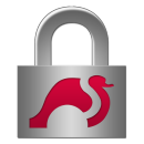 strongSwan VPN Client app icon
