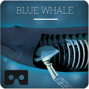 Blue whale VR app icon
